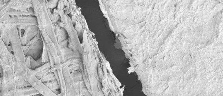 瓦尔麦特公司- 768 - x330 mfc.png