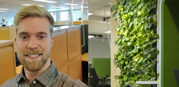 有可能组织自己的工作-暑期金融