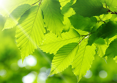 Share your thoughts on Valmet's sustainability