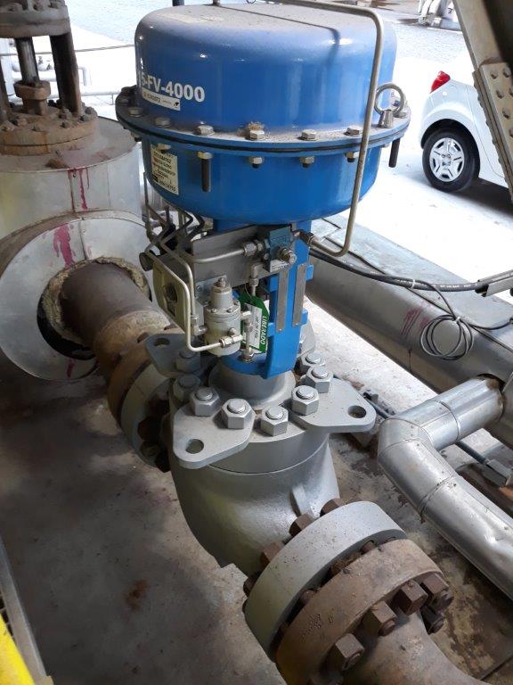 PlantTriage at Klabin.jpg