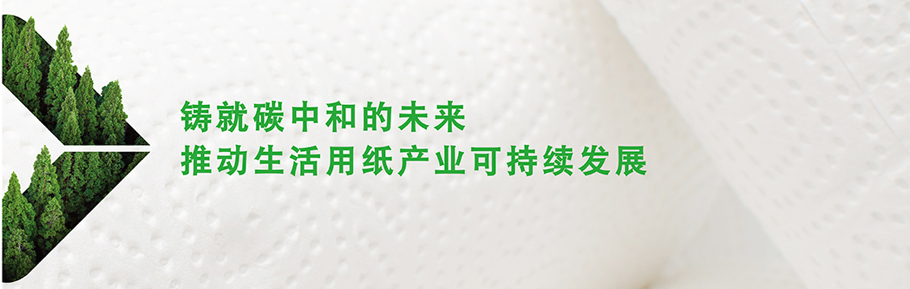 推动生活纸产业的发展发展