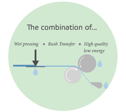 Rush transfer插图eTAD网站432宽。png