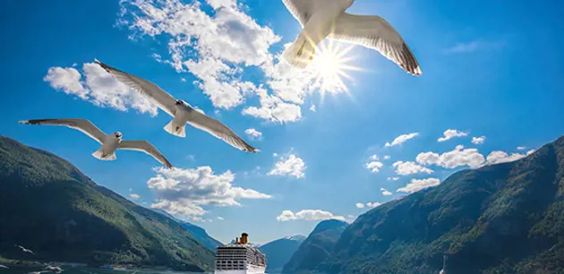 湿式静电除尘器-回升