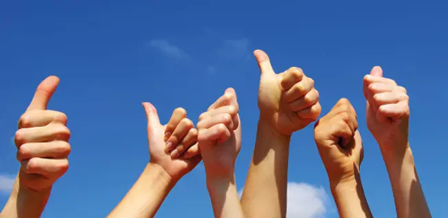 合作成功的蛋白石的植物学轧机