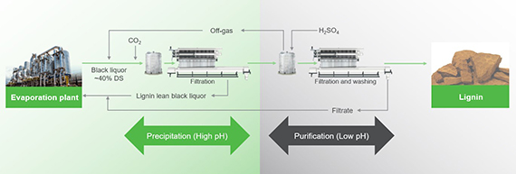 lb-process-w570.jpg