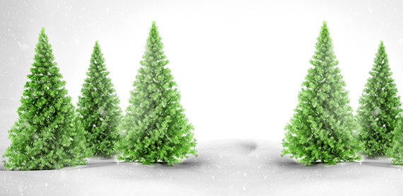 维美德对国际计划的季节性捐赠