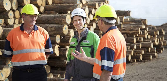 通过合作优化性能