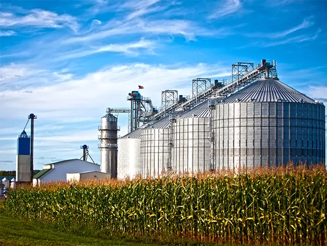 朝着未来可持续的生物燃料