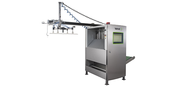 瓦尔麦特公司- dcd计划- 570. - jpg