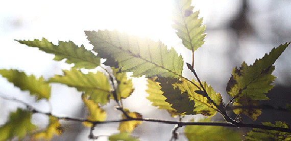 电影报告及监控解决配方电阻报告及监控方向