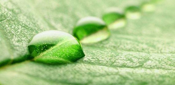 根据欧盟排放交易指令，Valmet的二氧化碳报告解决方案