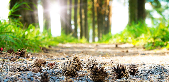 Valmet DNA生态日记-一个环境知识管理的解决方案