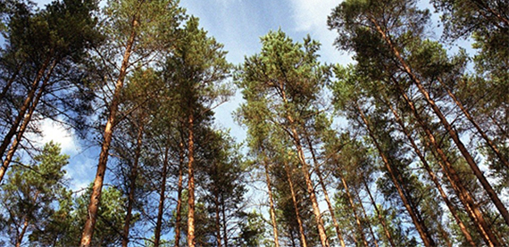 Valmet为大型燃烧电厂提供排放监测和报告解决方案