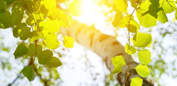 为CEMS分析仪提供质量保证的监控和报告解决方案