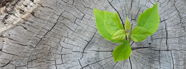 阀门如何提高性能