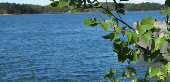 燃油效率的海洋最优模式