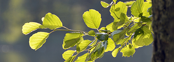 节能涂料干燥Metsä板重建