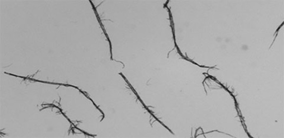 板材强度管理突破