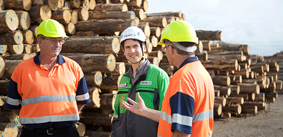 Valmet与Whatakane板厂合作