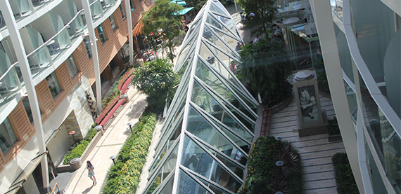 海洋和谐，花园