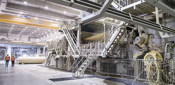 纸张质量为Velvet CARE提供了新的市场机会，特别是在面部产品方面，并使该公司能够进入优质的自有品牌市场。