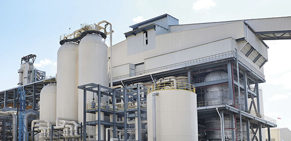 太阳纸业在老挝的新溶解纸浆厂使用了当地的木材资源，其中包含多种树木。这是选择批量烹饪的关键原因之一，因为该过程可以处理不同质量的原料