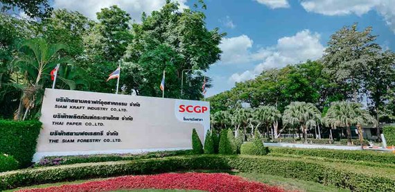 从湿压到可持续性的暹罗牛皮板厂