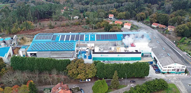 核提供免费基础体重现在纸上