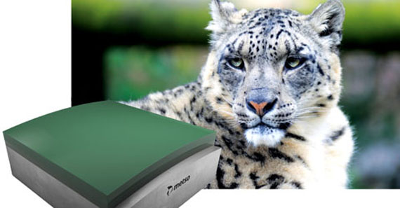 CalLeopard陀hyötyjä kalanterointin