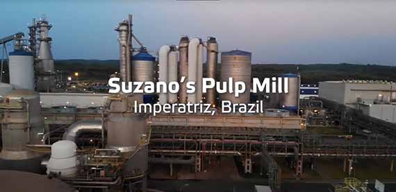 Suzano Imperatriz关闭