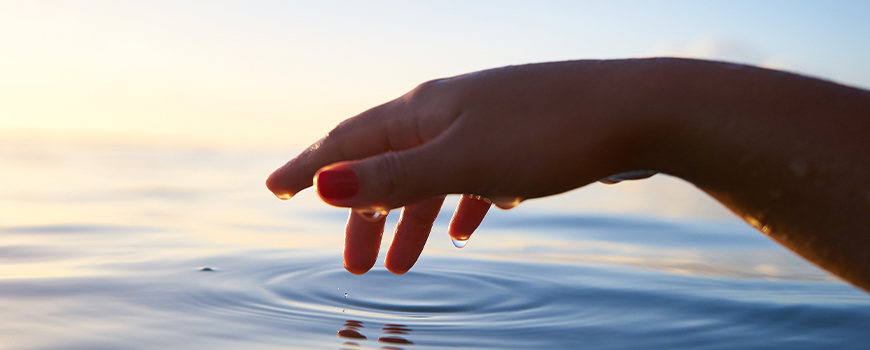 行业数据:纸巾是干手的卫生选择