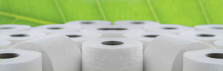 paperrolls.jpg.
