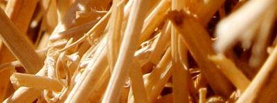 Fiber-Process-System_400x150.png