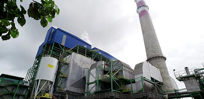 热量和电力生产纸浆