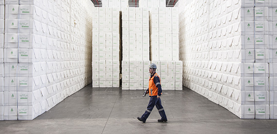 / globalassets /纸浆/ industry-front-page-blocks / fbl_1509_cmpc_guaiba - 330 - 570 - 277. x - - jpg