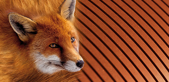 PressFox和VacuFox辊子包覆