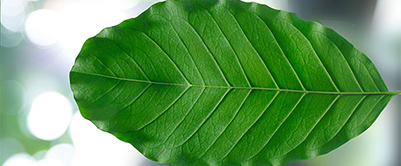 / globalassets /西班牙/ 400 x166-sustainability.jpg