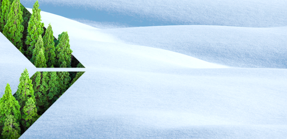 / globalassets /可持续性/图片/气候/ 570 x277-teaser-image-sustainability-environment-climate.png