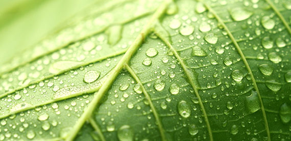 减少2030年的用水量